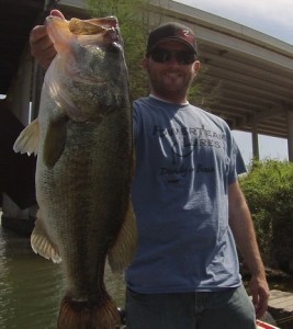 2014 - A year filled with big bass